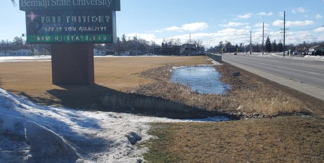 Rain garden along Hwy 197 filtering runoff from spring thaw (photo: Erika Bailey-Johnson) Rain garden along Hwy 197 filtering runoff from spring thaw (photo: Erika Bailey-Johnson)